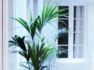 La Isla Hostal Barcelona España